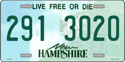 NH license plate 2913020