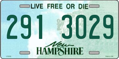 NH license plate 2913029