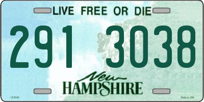 NH license plate 2913038