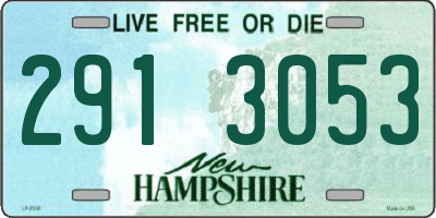 NH license plate 2913053