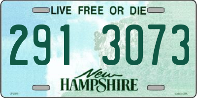 NH license plate 2913073