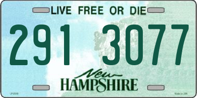 NH license plate 2913077