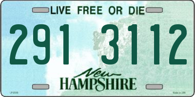 NH license plate 2913112