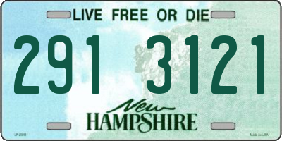 NH license plate 2913121