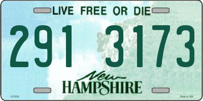 NH license plate 2913173