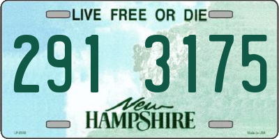 NH license plate 2913175