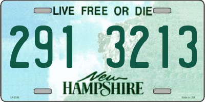 NH license plate 2913213