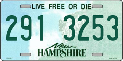 NH license plate 2913253