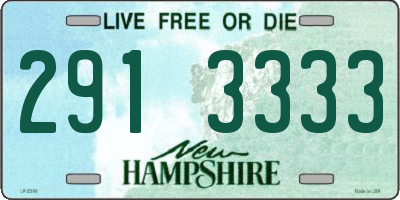 NH license plate 2913333