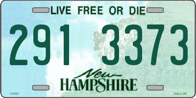 NH license plate 2913373