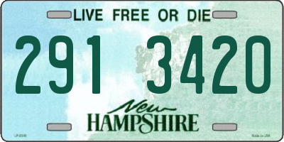 NH license plate 2913420