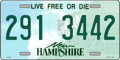 NH license plate 2913442