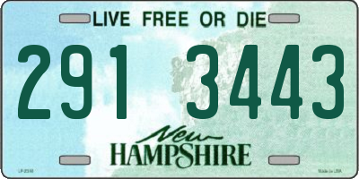 NH license plate 2913443