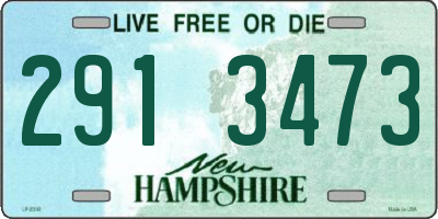 NH license plate 2913473