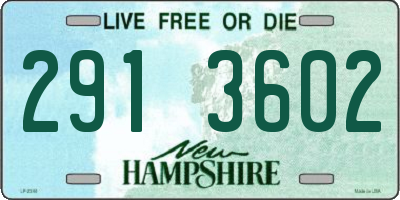 NH license plate 2913602
