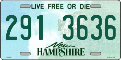 NH license plate 2913636