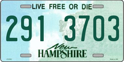 NH license plate 2913703