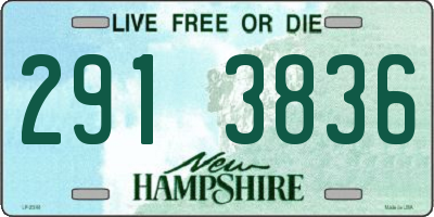 NH license plate 2913836
