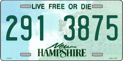 NH license plate 2913875