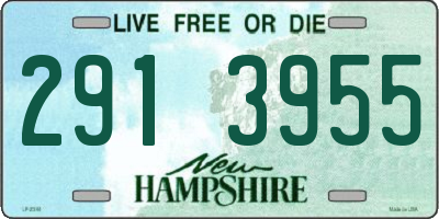 NH license plate 2913955