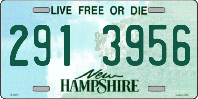 NH license plate 2913956