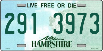 NH license plate 2913973