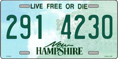 NH license plate 2914230
