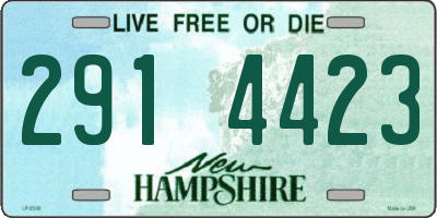 NH license plate 2914423
