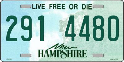 NH license plate 2914480