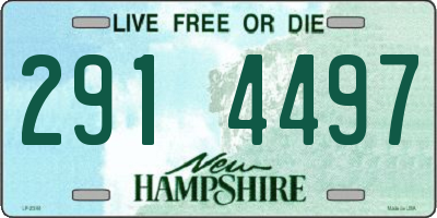 NH license plate 2914497