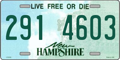 NH license plate 2914603