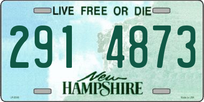 NH license plate 2914873