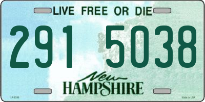 NH license plate 2915038