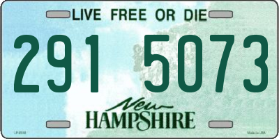 NH license plate 2915073