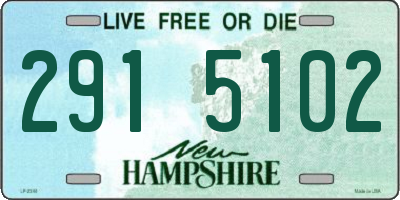 NH license plate 2915102