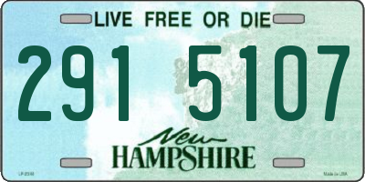 NH license plate 2915107