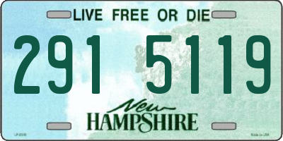 NH license plate 2915119