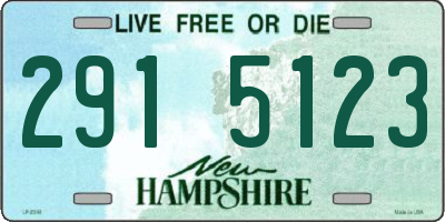 NH license plate 2915123