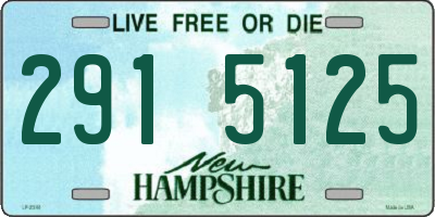 NH license plate 2915125