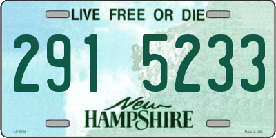 NH license plate 2915233
