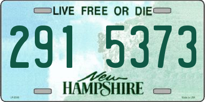 NH license plate 2915373