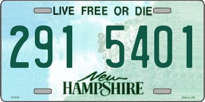 NH license plate 2915401