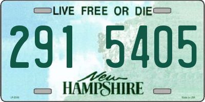 NH license plate 2915405