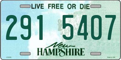 NH license plate 2915407
