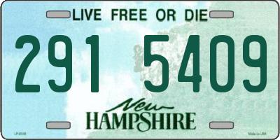 NH license plate 2915409
