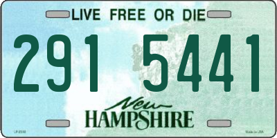 NH license plate 2915441
