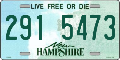 NH license plate 2915473
