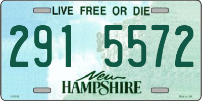 NH license plate 2915572