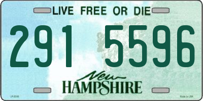 NH license plate 2915596