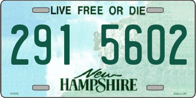 NH license plate 2915602